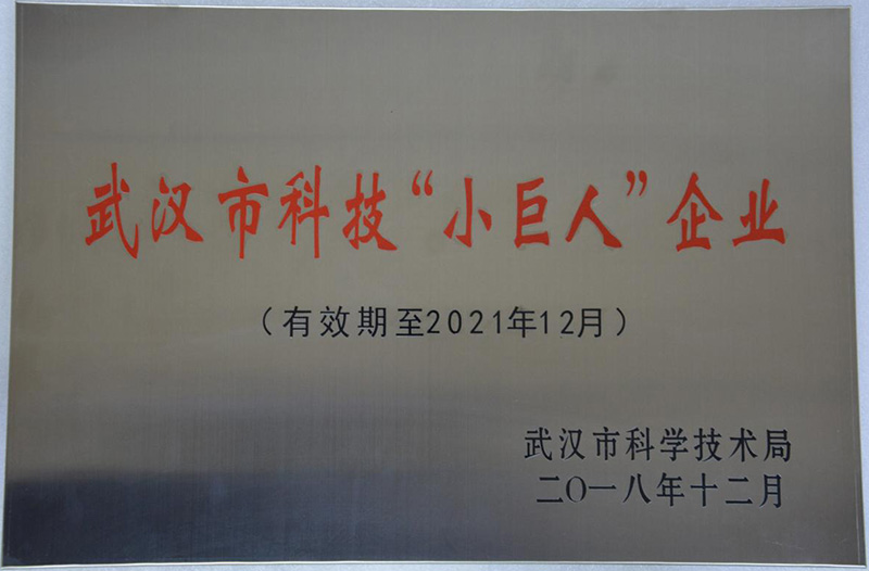 1653291407634154.jpg 100.jpg