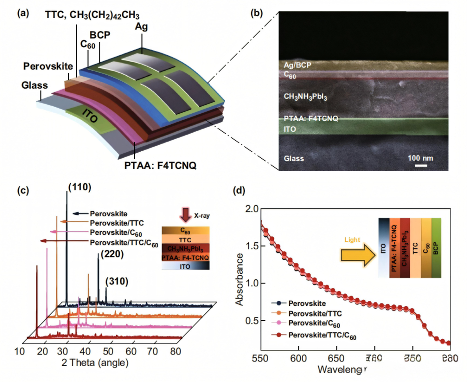 钙钛矿太阳能电池性能提升策略：从材料到器件的全面优化